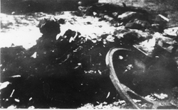 Spalone ciała ludzkie w jednej ze stodół po pacyfikacji wsi Michniów, lipiec 1943 r. [ze zbiorów IPN]