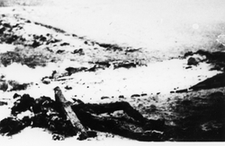 Ofiary pacyfikacji wsi Michniów, lipiec 1943 r. [ze zbiorów IPN]