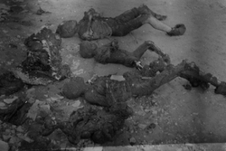 Zwęglone ciała ofiar pacyfikacji Michniowa, lipiec 1943 r. [ze zbiorów IPN]