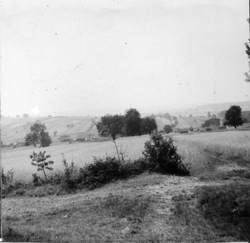 Widok ze skraju lasu „siekierzyńskiego” w kierunku zachodnim, w dole Michniów, 1968 r. [ze zbiorów IPN]