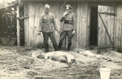 Fotografia  Niemcy z zabitymi świniami  Zamość 19.09.1939r.