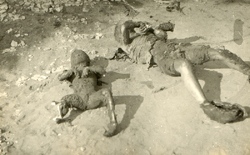 Dzieci zamordowane w czasie pacyfikacji wsi, 1943 r. [ze zbiorów IPN].