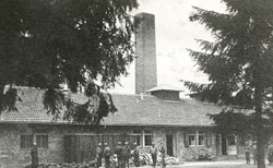 Zwłoki więźniów przed krematorium. Częstą formą terroru i eliminowania chłopów było skazywanie ich na pobyt w obozach koncentracyjnych, 1945 r. [ze zbiorów AP w Kielcach].