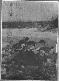 Pacyfikacja wsi Borów gm. Annopol, 2 II 1944 r. [ze zbiorów Mauzoleum w Michniowie].