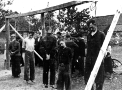 Ofiary publicznej egzekucji we wsi Dmenin, pow. radomszczański, b.d. [ze zbiorów IPN].