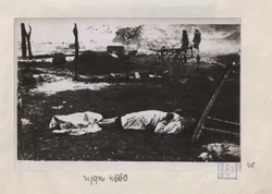Ofiary spalenia przez Niemców wsi Szarajówka, pow. biłgoraj, 18 V 1943 r. [ze zbiorów MHPRL w Warszawie].