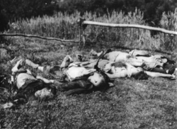 Ofiary zbrodni we wsi, Nienadówka, gm. Sokołów Małopolski, 21 VI 1943 r. [ze zbiorów IPN].