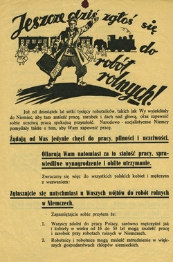 Plakat zachęcający do dobrowolnego zgłoszenia na roboty rolne, b.d.m. [ze zbiorów AP w Kielcach].