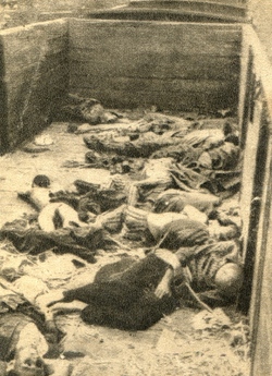 Wnętrze wagonu z ciałami więźniów zmarłych w transporcie, b.d.m. [ze zbiorów AP w Kielcach].