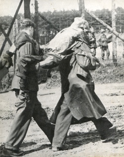 Przenoszenie chorego więźnia po oswobodzeniu obozu, b.d.m. [ze zbiorów AP w Kielcach].