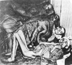 Oswobodzeni więźniowie obozu byli na skraju śmierci z głodu i wyczerpania, b.d.m. [ze zbiorów AP w Kielcach].