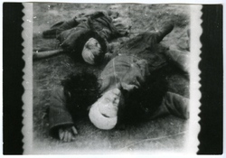 Ofiary napadu Ukraińców na wieś Netreba, 3 X 1943 r. [ze zbiorów IPN].