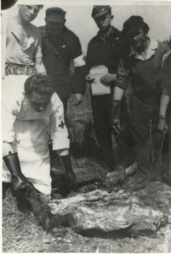 Zdjęcia z ekshumacji masowych grobów Polaków zamordowanych przez Niemców w latach 1939–1945 w Lesie Szpęgawskim [ze zbiorów Mauzoleum w Michniowie]